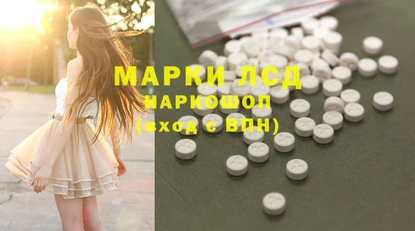 ГАЛЛЮЦИНОГЕННЫЕ ГРИБЫ Алзамай