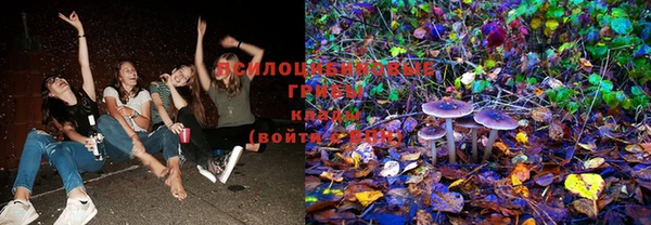 крисы Абаза