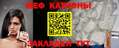 шишки Славгород