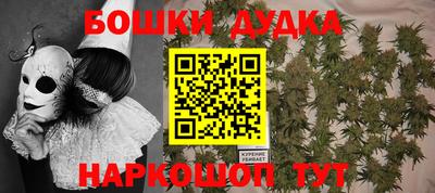 шишки Славгород