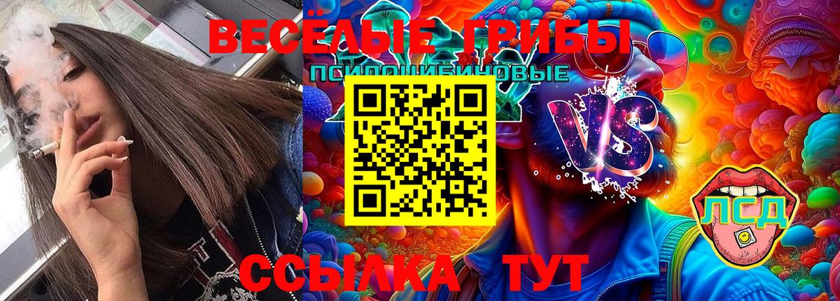 Псилоцибиновые грибы прущие грибы  Вход с VPN  Галлюциногенные грибы Magic Shrooms  Мыски 